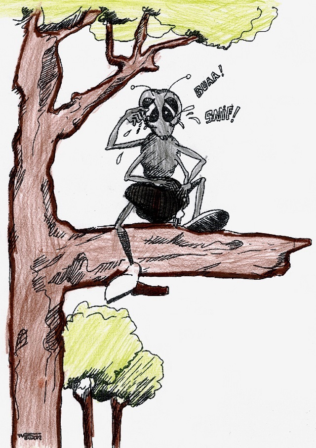 Formigo Chora Desesperado